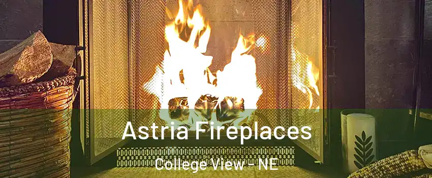 Astria Fireplaces College View - NE
