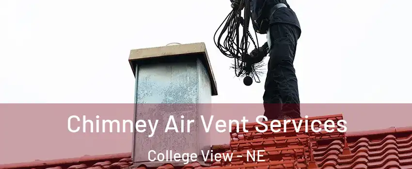 Chimney Air Vent Services College View - NE