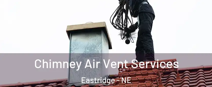 Chimney Air Vent Services Eastridge - NE
