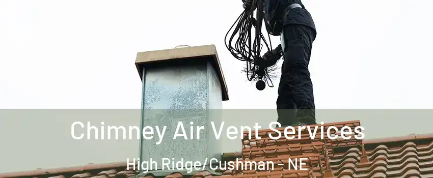 Chimney Air Vent Services High Ridge/Cushman - NE