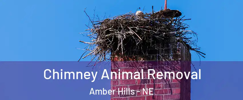 Chimney Animal Removal Amber Hills - NE