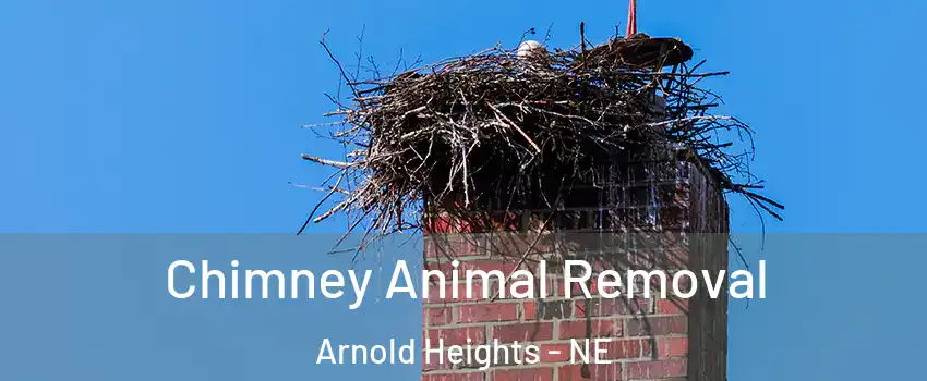 Chimney Animal Removal Arnold Heights - NE