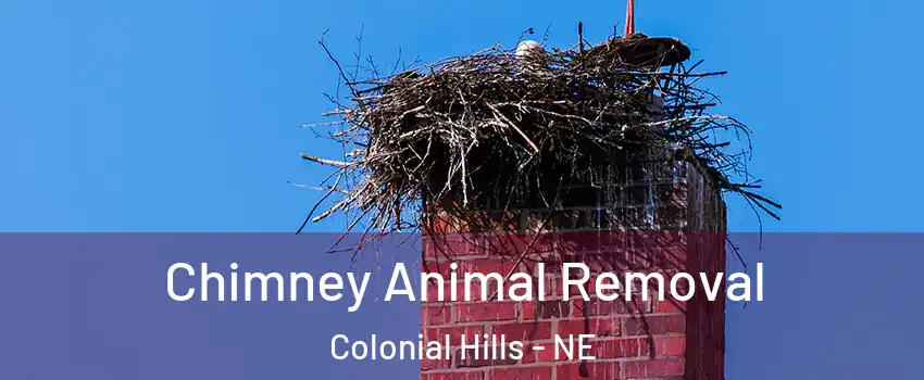 Chimney Animal Removal Colonial Hills - NE