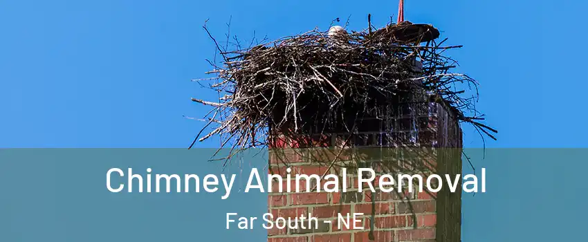 Chimney Animal Removal Far South - NE