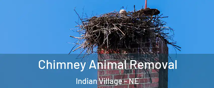 Chimney Animal Removal Indian Village - NE