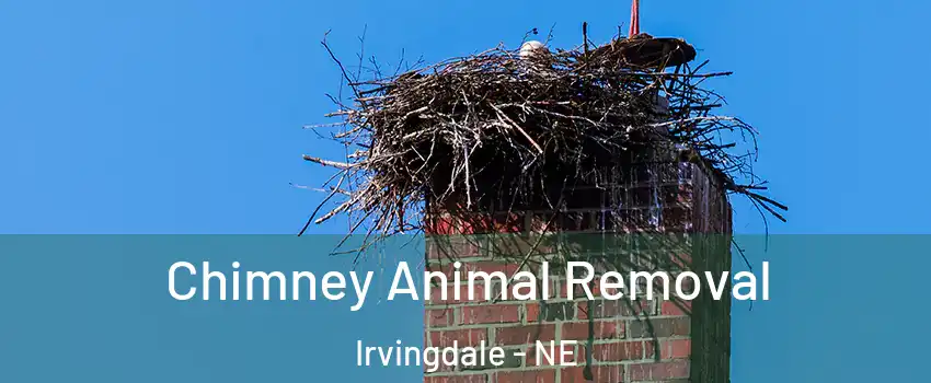 Chimney Animal Removal Irvingdale - NE