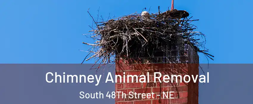 Chimney Animal Removal South 48Th Street - NE