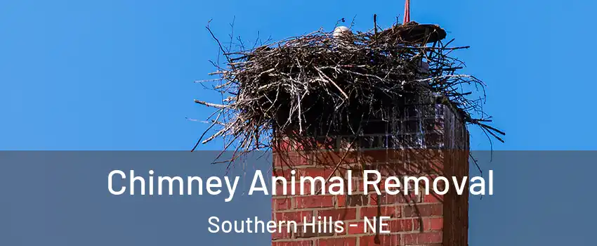 Chimney Animal Removal Southern Hills - NE