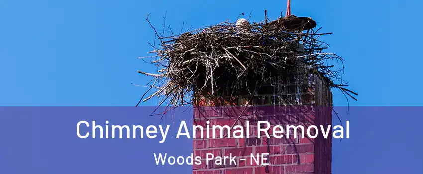 Chimney Animal Removal Woods Park - NE