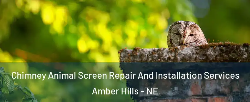 Chimney Animal Screen Repair And Installation Services Amber Hills - NE