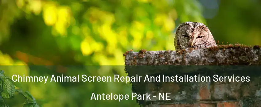 Chimney Animal Screen Repair And Installation Services Antelope Park - NE