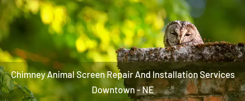 Chimney Animal Screen Repair And Installation Services Downtown - NE