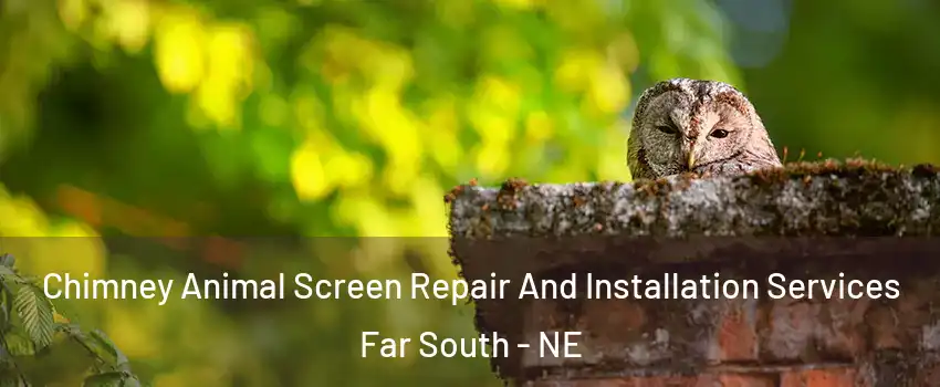 Chimney Animal Screen Repair And Installation Services Far South - NE