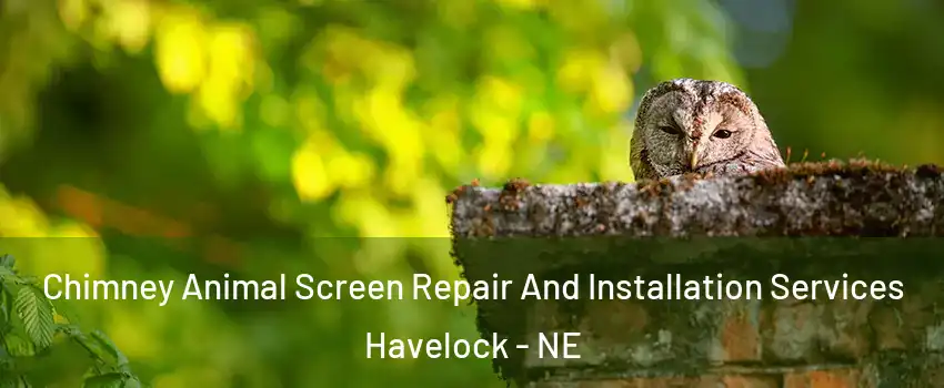 Chimney Animal Screen Repair And Installation Services Havelock - NE