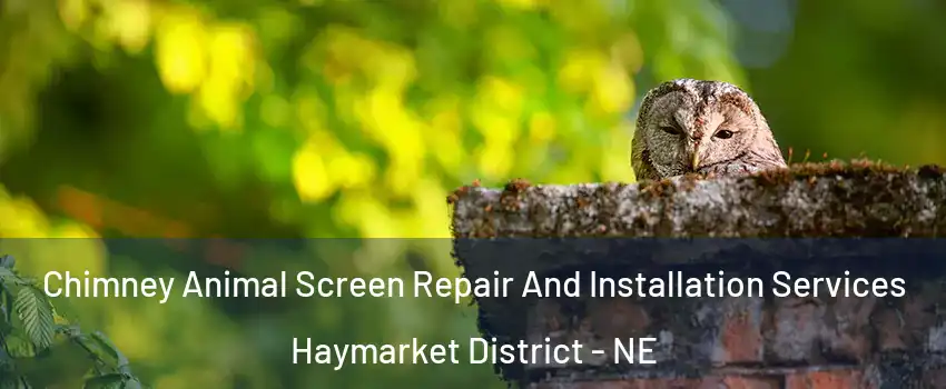 Chimney Animal Screen Repair And Installation Services Haymarket District - NE