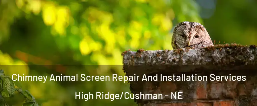 Chimney Animal Screen Repair And Installation Services High Ridge/Cushman - NE