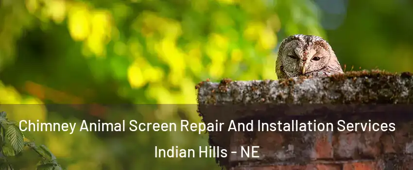 Chimney Animal Screen Repair And Installation Services Indian Hills - NE