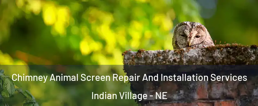Chimney Animal Screen Repair And Installation Services Indian Village - NE