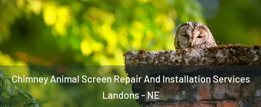 Chimney Animal Screen Repair And Installation Services Landons - NE