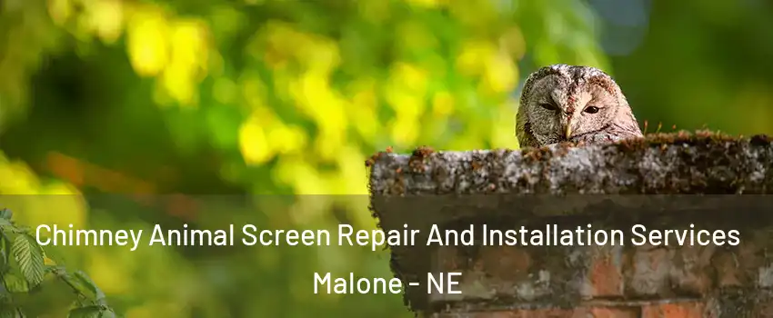 Chimney Animal Screen Repair And Installation Services Malone - NE