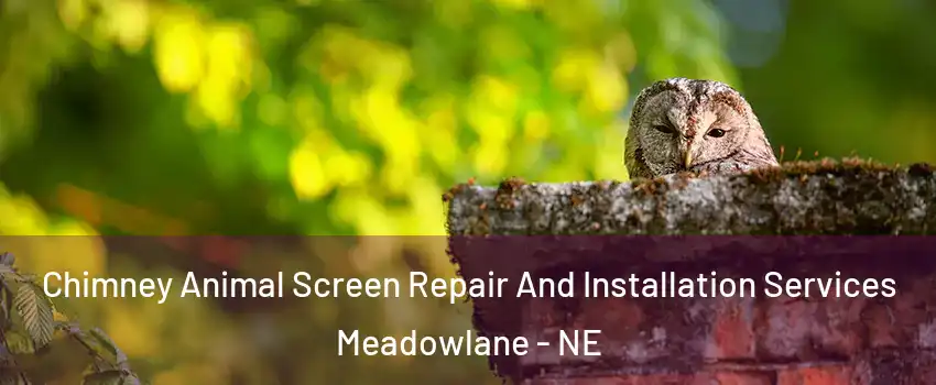Chimney Animal Screen Repair And Installation Services Meadowlane - NE