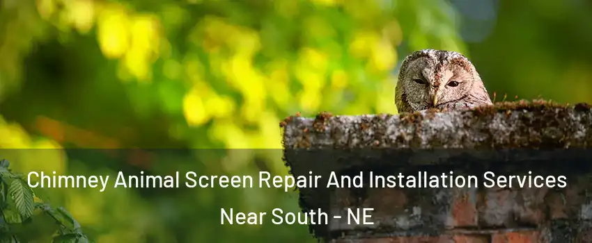 Chimney Animal Screen Repair And Installation Services Near South - NE