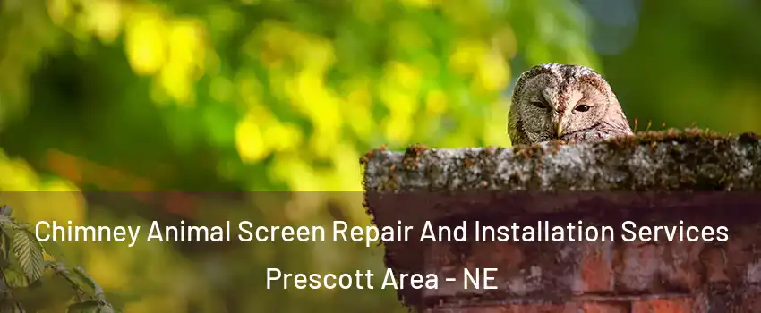 Chimney Animal Screen Repair And Installation Services Prescott Area - NE