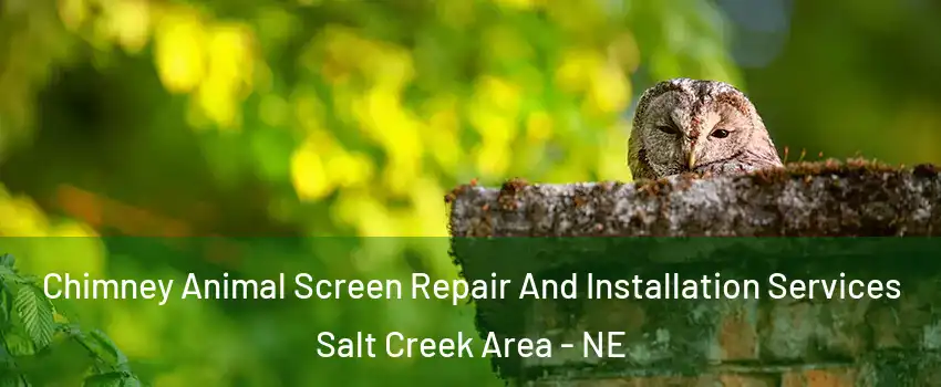 Chimney Animal Screen Repair And Installation Services Salt Creek Area - NE