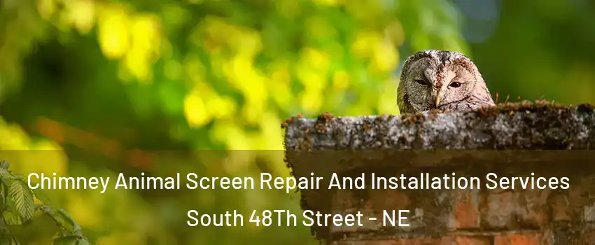 Chimney Animal Screen Repair And Installation Services South 48Th Street - NE