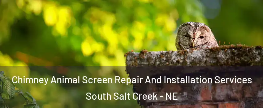 Chimney Animal Screen Repair And Installation Services South Salt Creek - NE