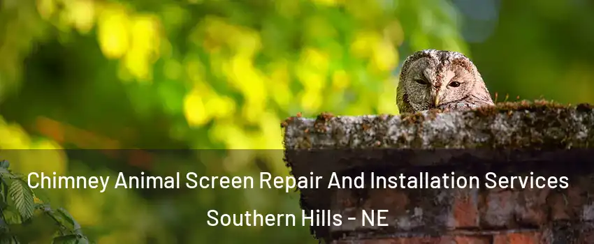 Chimney Animal Screen Repair And Installation Services Southern Hills - NE