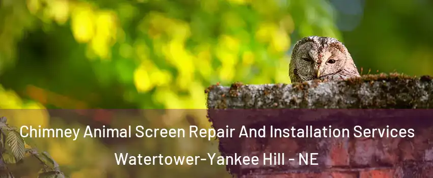 Chimney Animal Screen Repair And Installation Services Watertower-Yankee Hill - NE