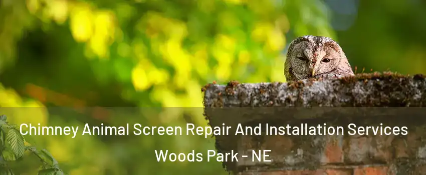 Chimney Animal Screen Repair And Installation Services Woods Park - NE
