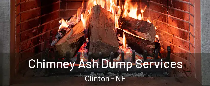 Chimney Ash Dump Services Clinton - NE