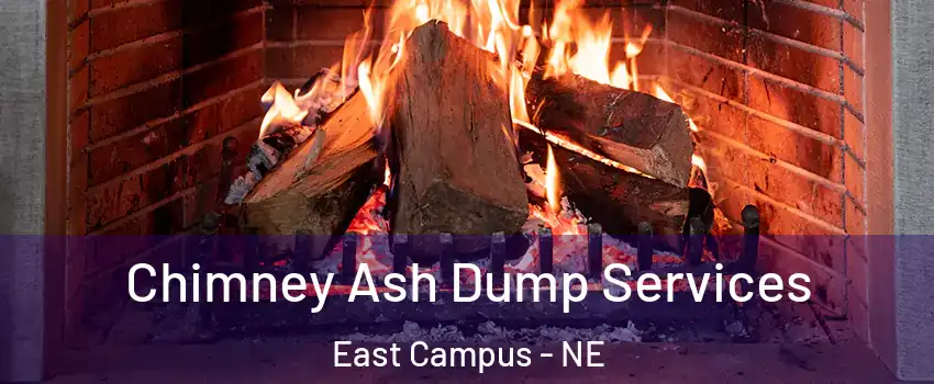 Chimney Ash Dump Services East Campus - NE