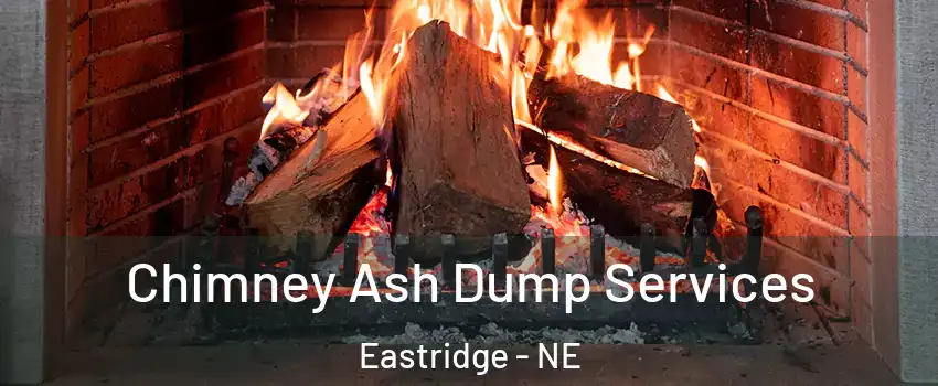 Chimney Ash Dump Services Eastridge - NE