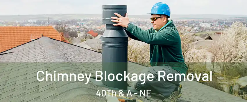 Chimney Blockage Removal 40Th & A - NE