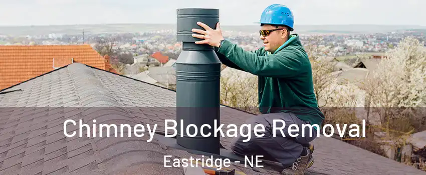 Chimney Blockage Removal Eastridge - NE