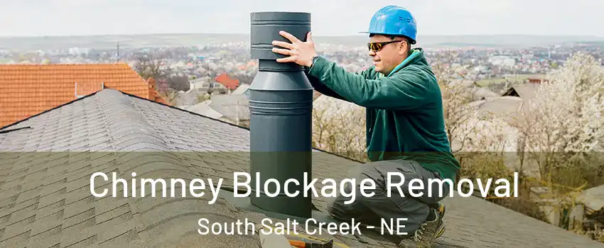 Chimney Blockage Removal South Salt Creek - NE