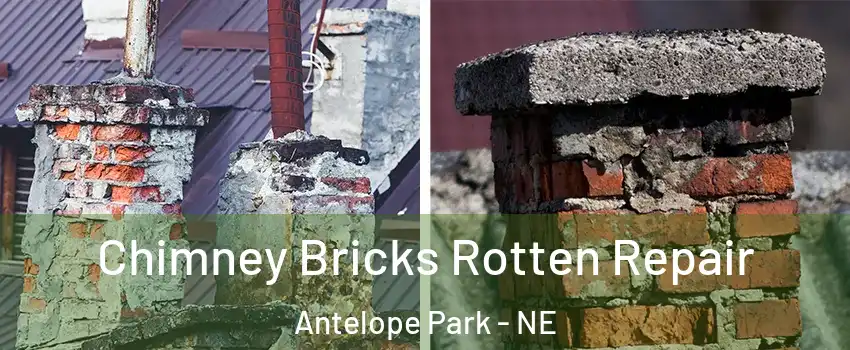 Chimney Bricks Rotten Repair Antelope Park - NE