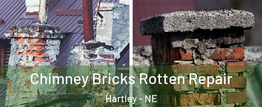 Chimney Bricks Rotten Repair Hartley - NE