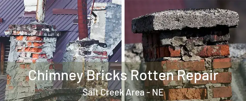 Chimney Bricks Rotten Repair Salt Creek Area - NE