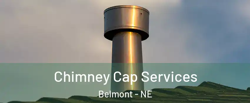 Chimney Cap Services Belmont - NE