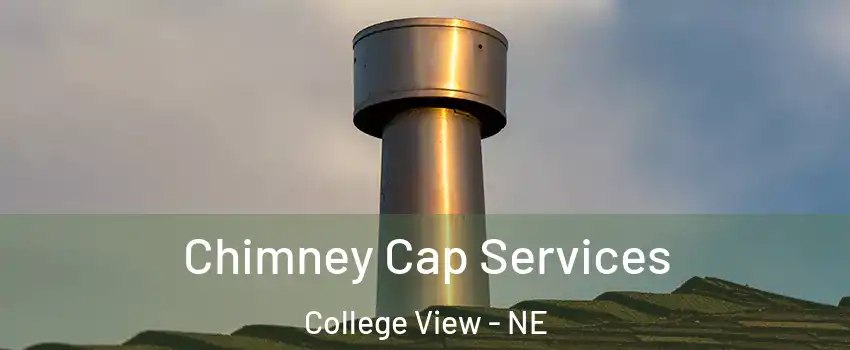 Chimney Cap Services College View - NE