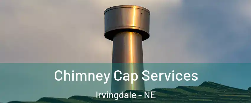 Chimney Cap Services Irvingdale - NE