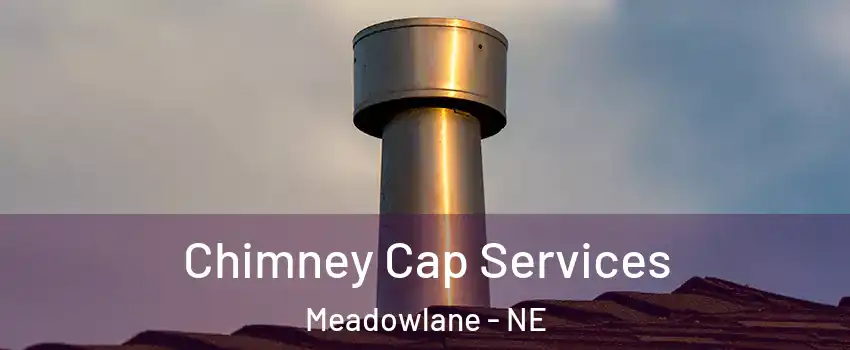 Chimney Cap Services Meadowlane - NE