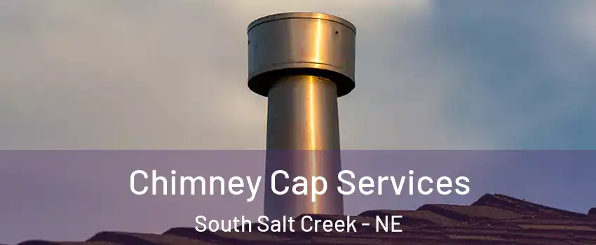 Chimney Cap Services South Salt Creek - NE