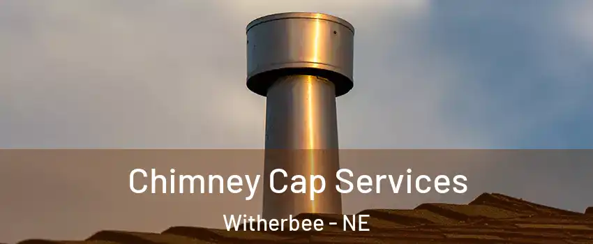 Chimney Cap Services Witherbee - NE