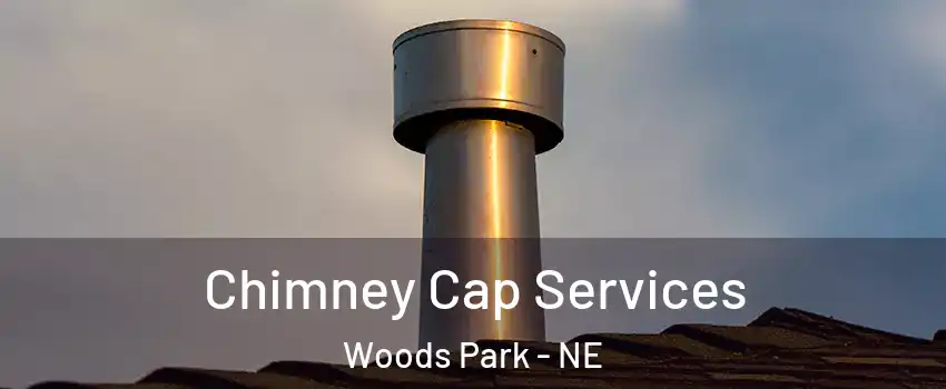 Chimney Cap Services Woods Park - NE