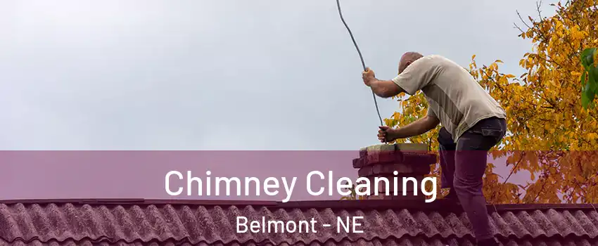 Chimney Cleaning Belmont - NE